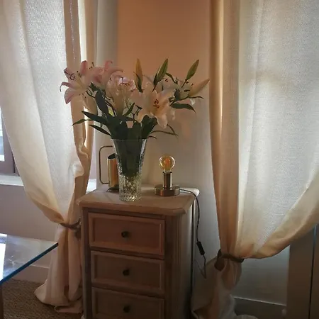 Duplex הונפלר